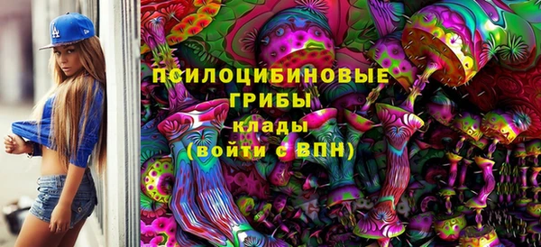 a pvp Кукмор
