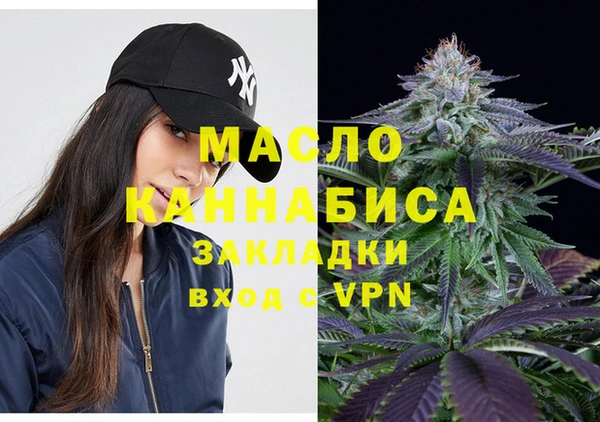молекула духа Краснослободск